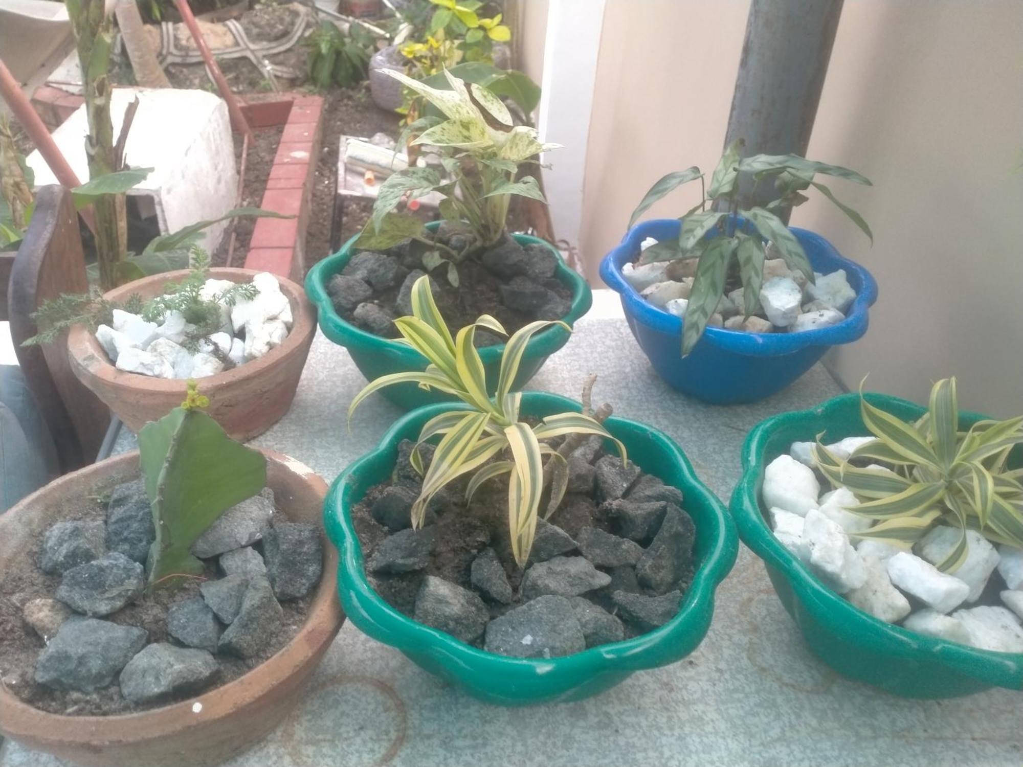 Babajay Family Home ดาร์เอสซาลาม ภายนอก รูปภาพ